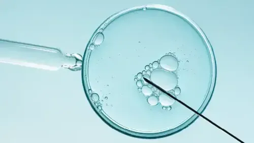 IVF Full Form in Medical Terms Explained